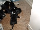 picture 039.jpg