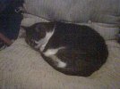 cindysleeping.jpg