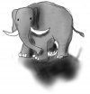 elephant1.jpg