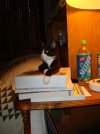 DSC00340.jpg