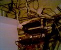picture 002.jpg