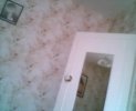 picture 019.jpg