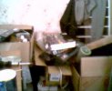 picture 022.jpg