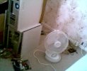 picture 023.jpg