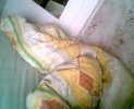 picture 024.jpg