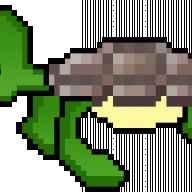 Mr D Turtle