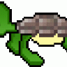 Mr D Turtle