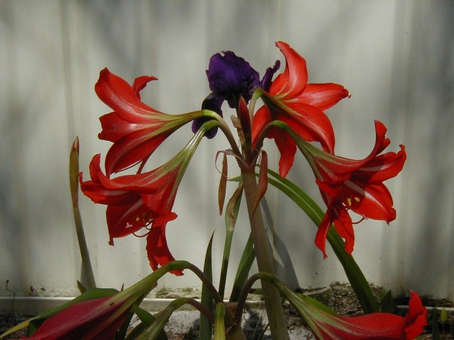 201_1035224095.jpg