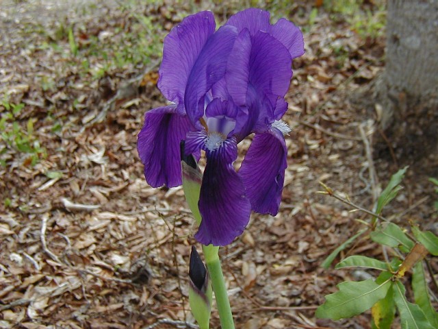 201_1035224193.jpg
