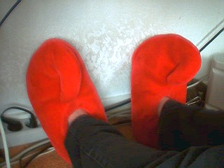 213_1031995578.jpg