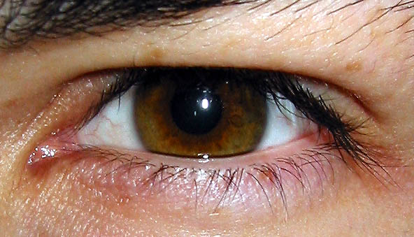 240_1033147949.jpg