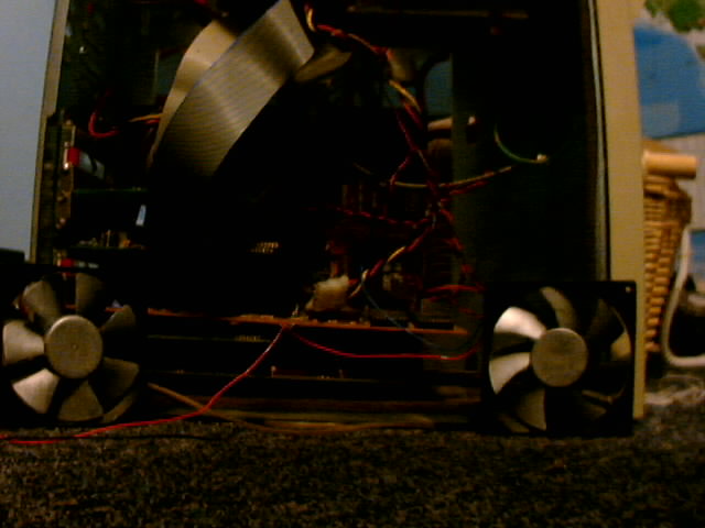 266_1038782700.jpg