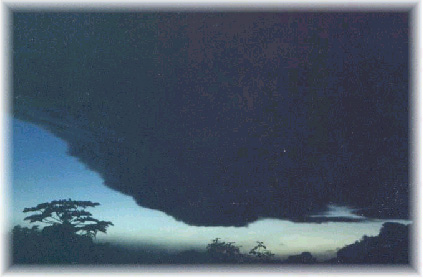 50_1030500328.jpg
