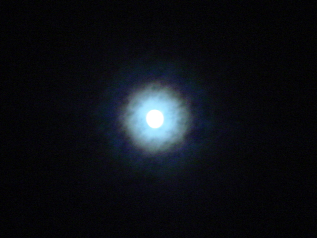 54_1035225027.jpg