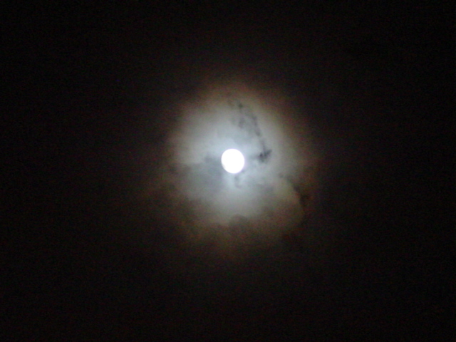 54_1035225284.jpg