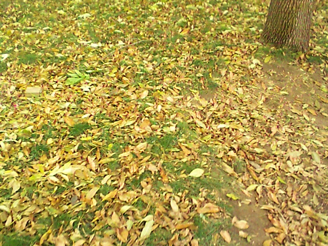 7_1035055067.jpg