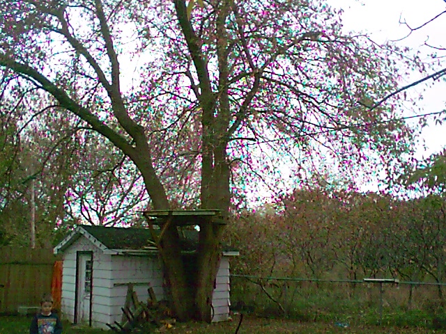 7_1035055352.jpg