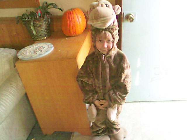 7_1035990125.jpg