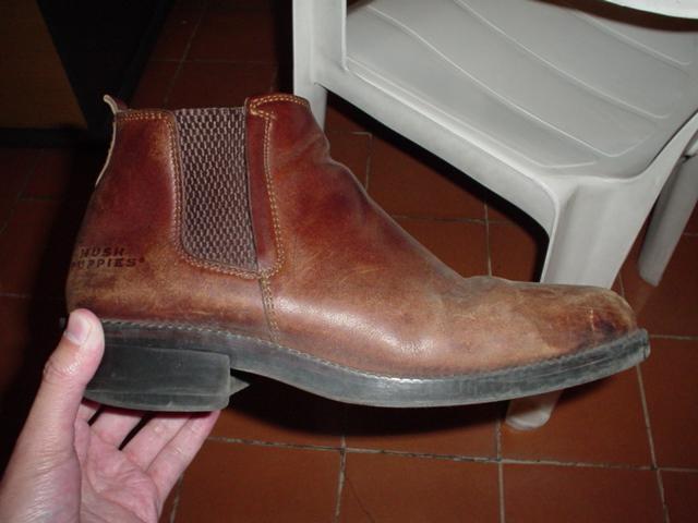 88_1032015938.jpg