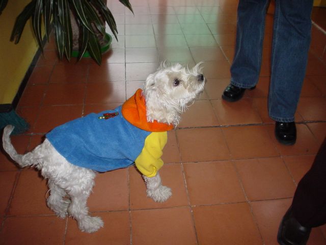 88_1037326691.jpg